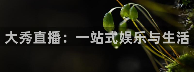 袋鼠直播在线播放：大秀直播：一站式娱乐与生活
