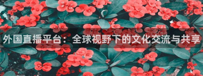 袋鼠在线直播体育：外国直播平台：全球视野下的文化交流与共享