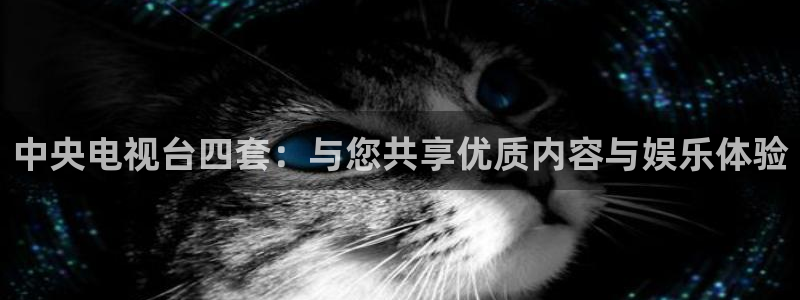 袋鼠直播nba免费观看足球：中央电视台四套：与您共享优质内容与娱乐体验