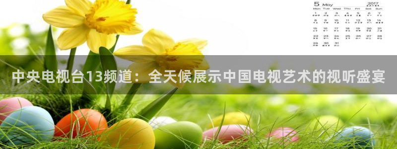 袋鼠直播体育免费观看入口：中央电视台13频道：全天候展示中国电视艺术的视听盛宴