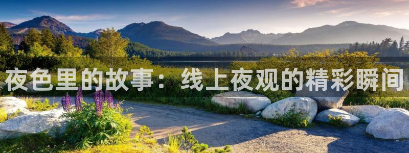 袋鼠体育nba直播：夜色里的故事：线上夜观的精彩瞬间