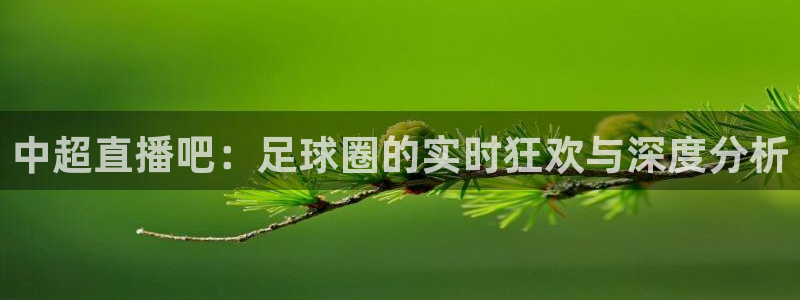 袋鼠在线体育直播：中超直播吧：足球圈的实时狂欢与深度分析