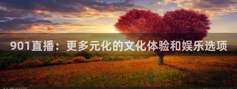 袋鼠直播体育在线观看边看边玩1.新通道.top：901直播：更多元化的文化体验和娱乐选项