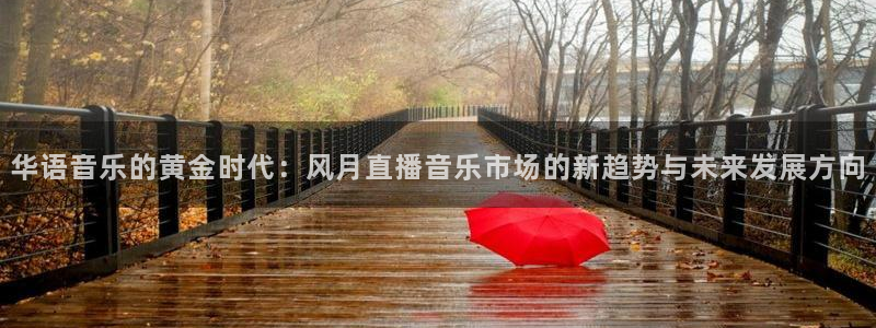 袋鼠直播在线观看nba：华语音乐的黄金时代：风月直播音乐市场的新趋势与未来发展方向