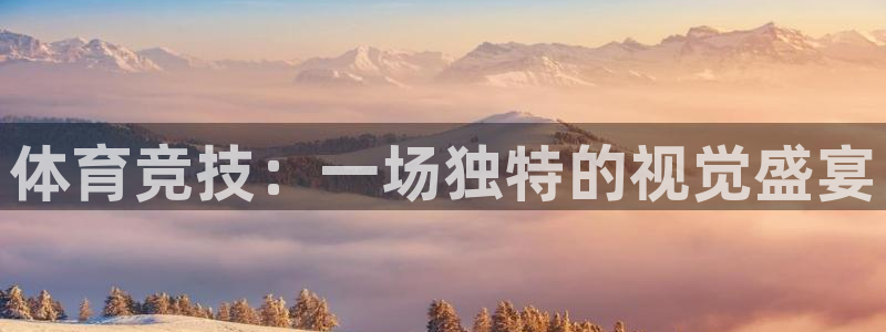 袋鼠直播nba体育：体育竞技：一场独特的视觉盛宴